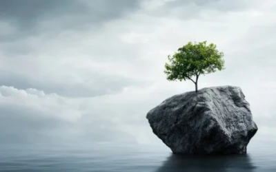 Prontuario Per La Resilienza